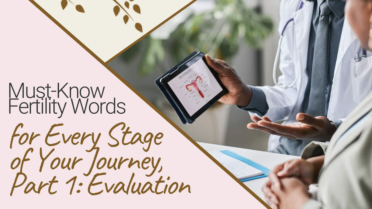 Must-Know Fertility Words for Every Stage of Your Journey, Part 1: Evaluation 